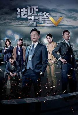 法证先锋5(国语版)