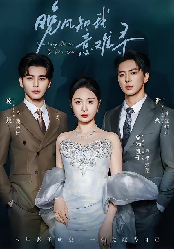 晚风知我意难寻