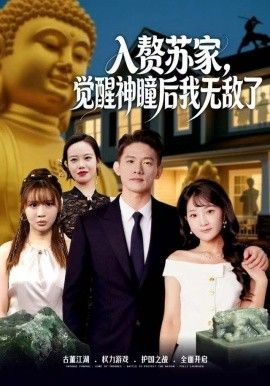 赘苏家，觉醒神瞳后我无敌了封面图