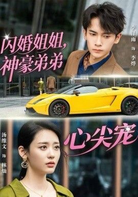 闪婚姐姐，神豪弟弟心尖宠封面图